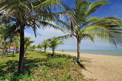 garota de programa nova viçosa|4 praias em Nova Viçosa para você se encantar